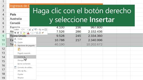 como insertar una fila en excel|Cómo insertar varias filas en Excel